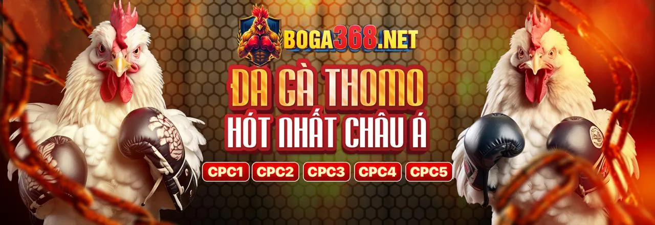 Đá Gà Trực Tuyến EV99